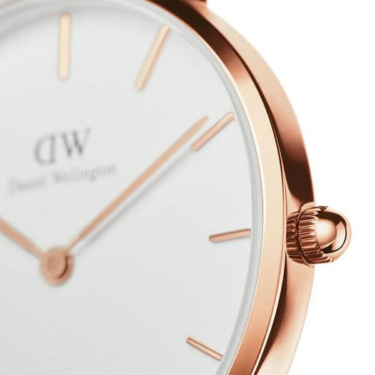Daniel Wellington / ダニエルウェリントン クラシックペティット